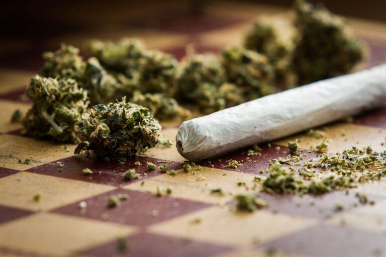Cannabis in Berlin: Alles Wissenswerte für Konsumenten und Neugierige