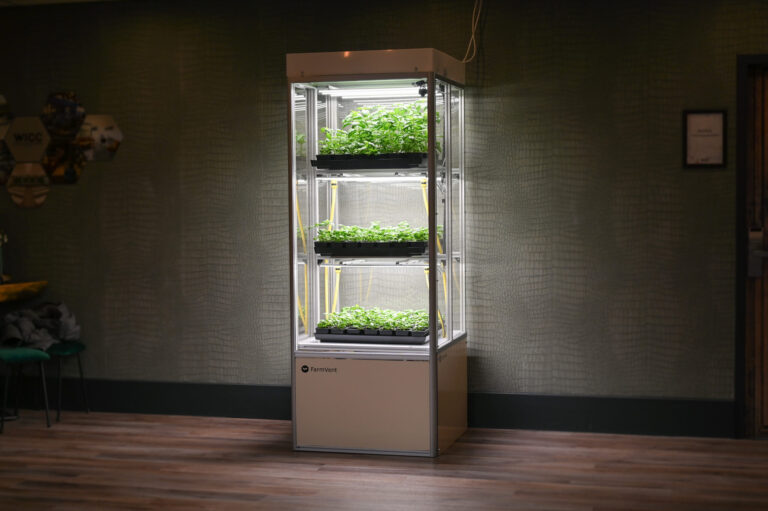 Was du beim Kauf eines Growshops beachten solltest